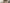 Video alt text