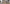 Video alt text